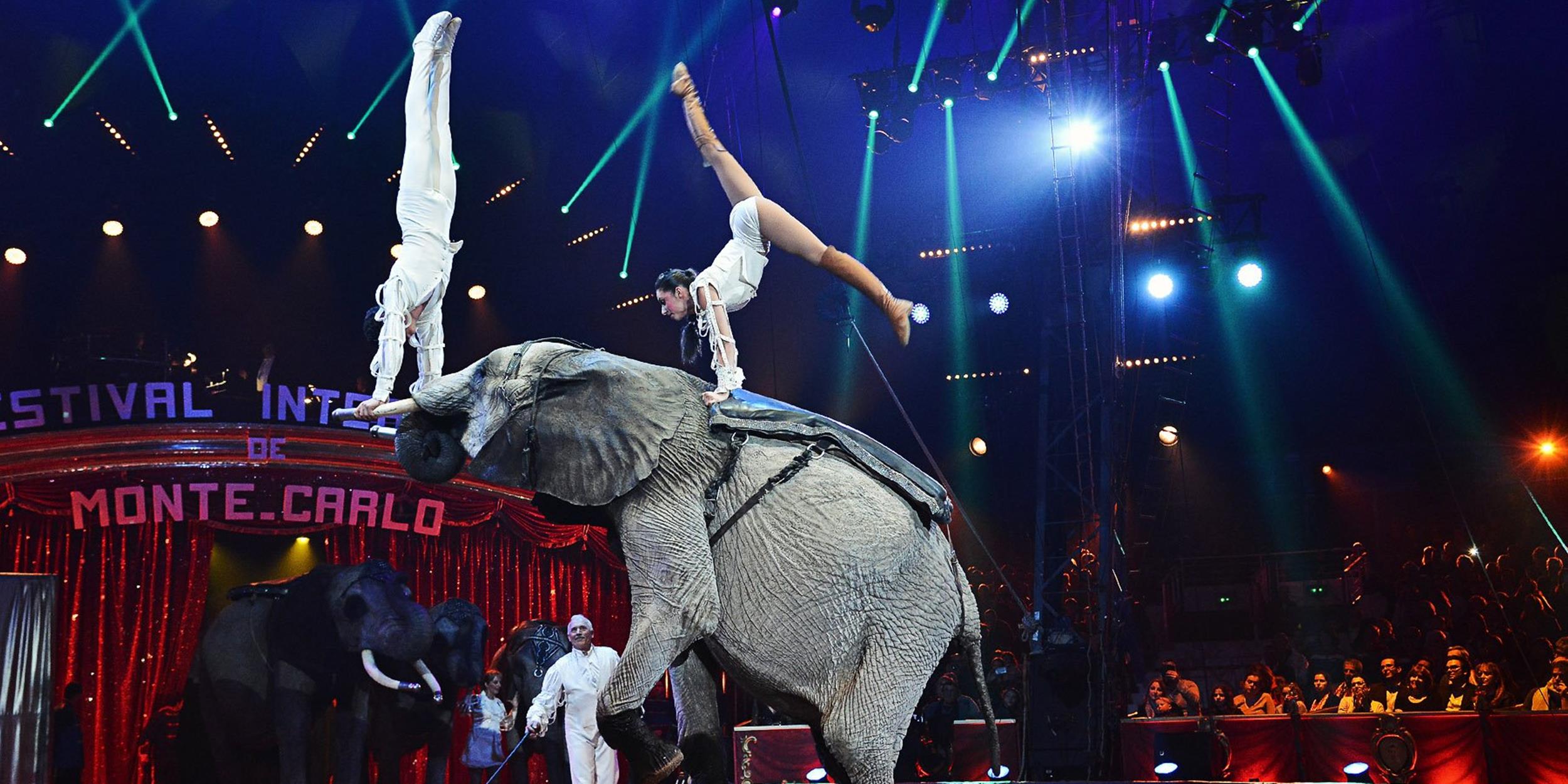 Festival International du Cirque de MonteCarlo