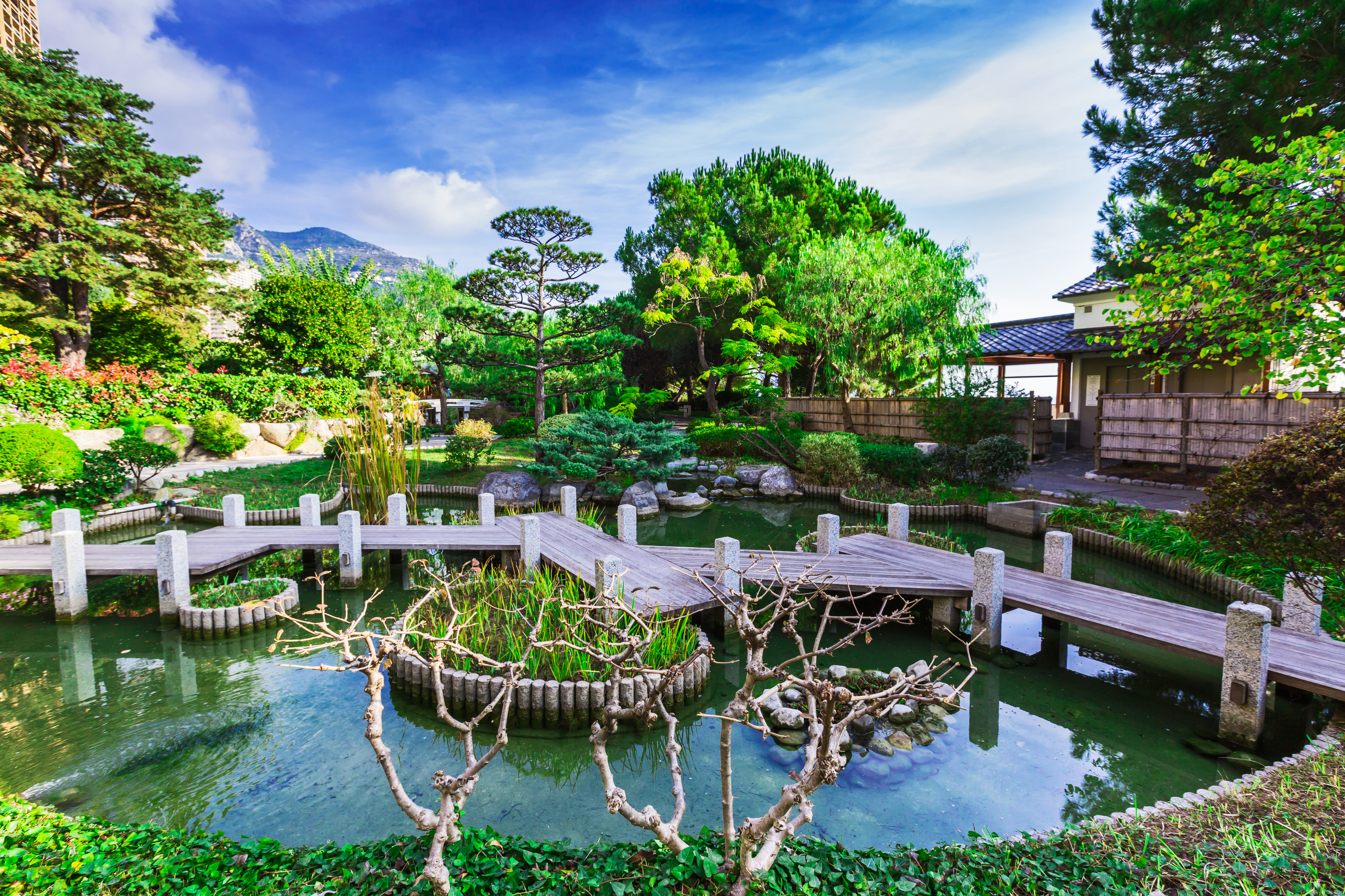 10696円 柔らかい モナコ日本庭園写真集 Le Jardin Japonais de Monaco
