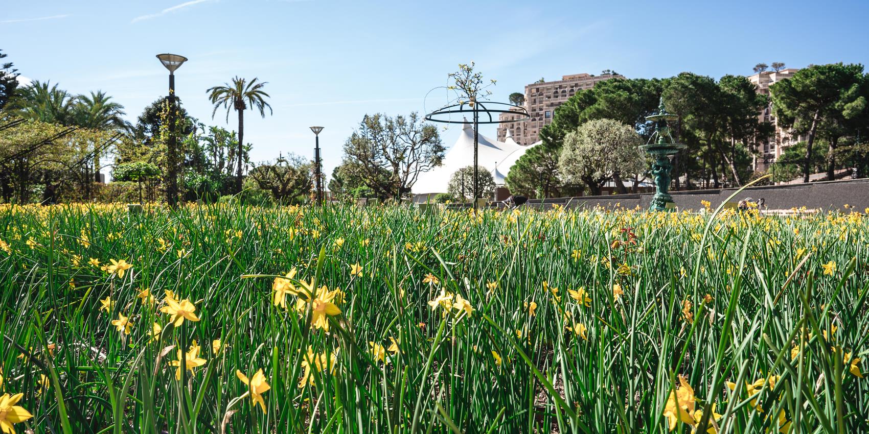 Parc Jardin